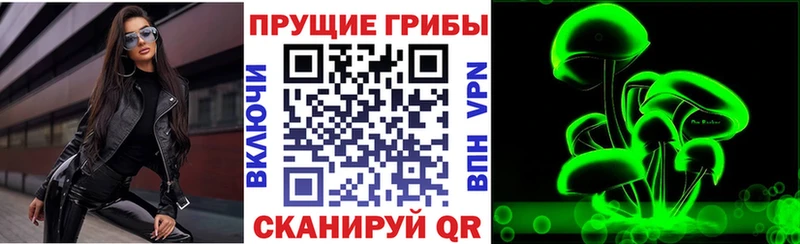 shop официальный сайт  Котельники  Псилоцибиновые грибы прущие грибы 